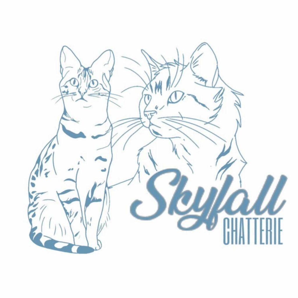 Logo chatterie skyfall