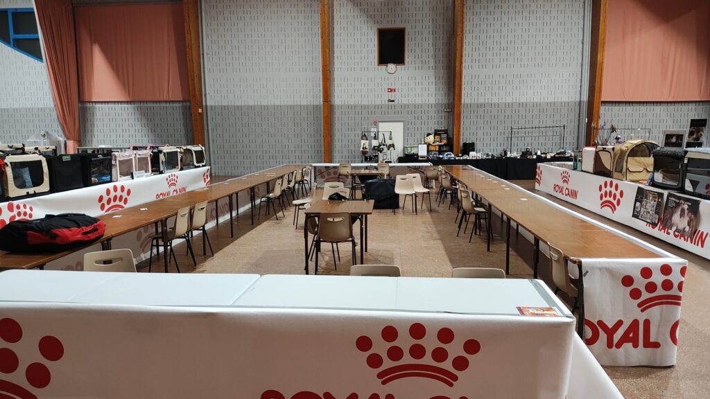 Salle d'exposition féline pour le LOOF