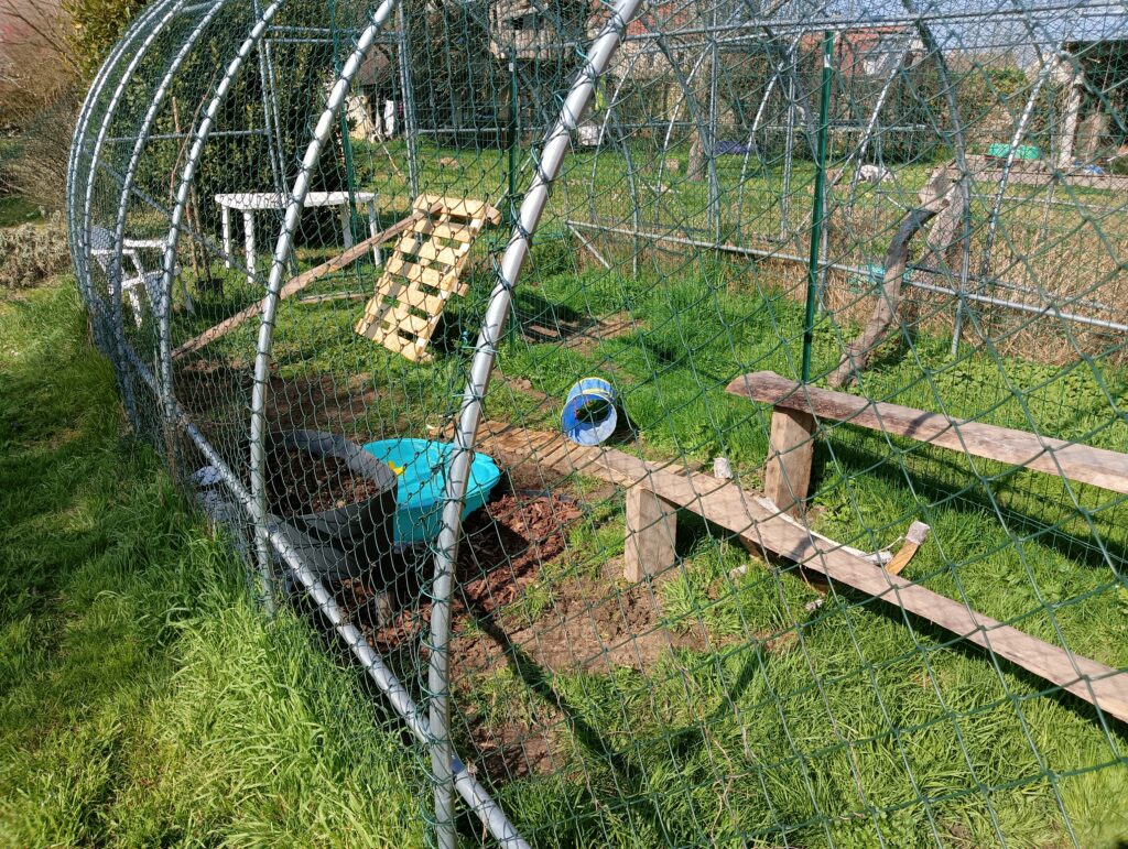structures et jeux extérieurs pour chats
