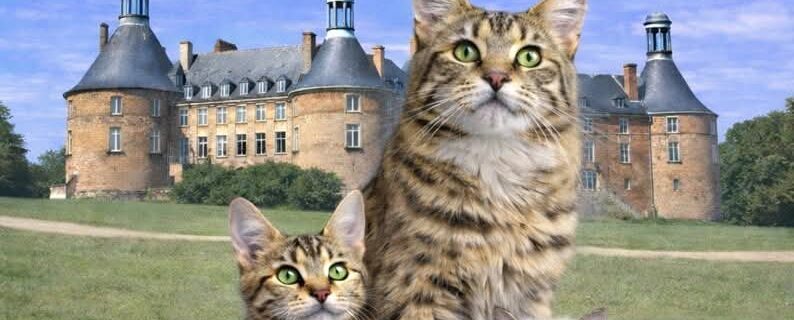 Affiche exposition saint-fargeau avec savannah