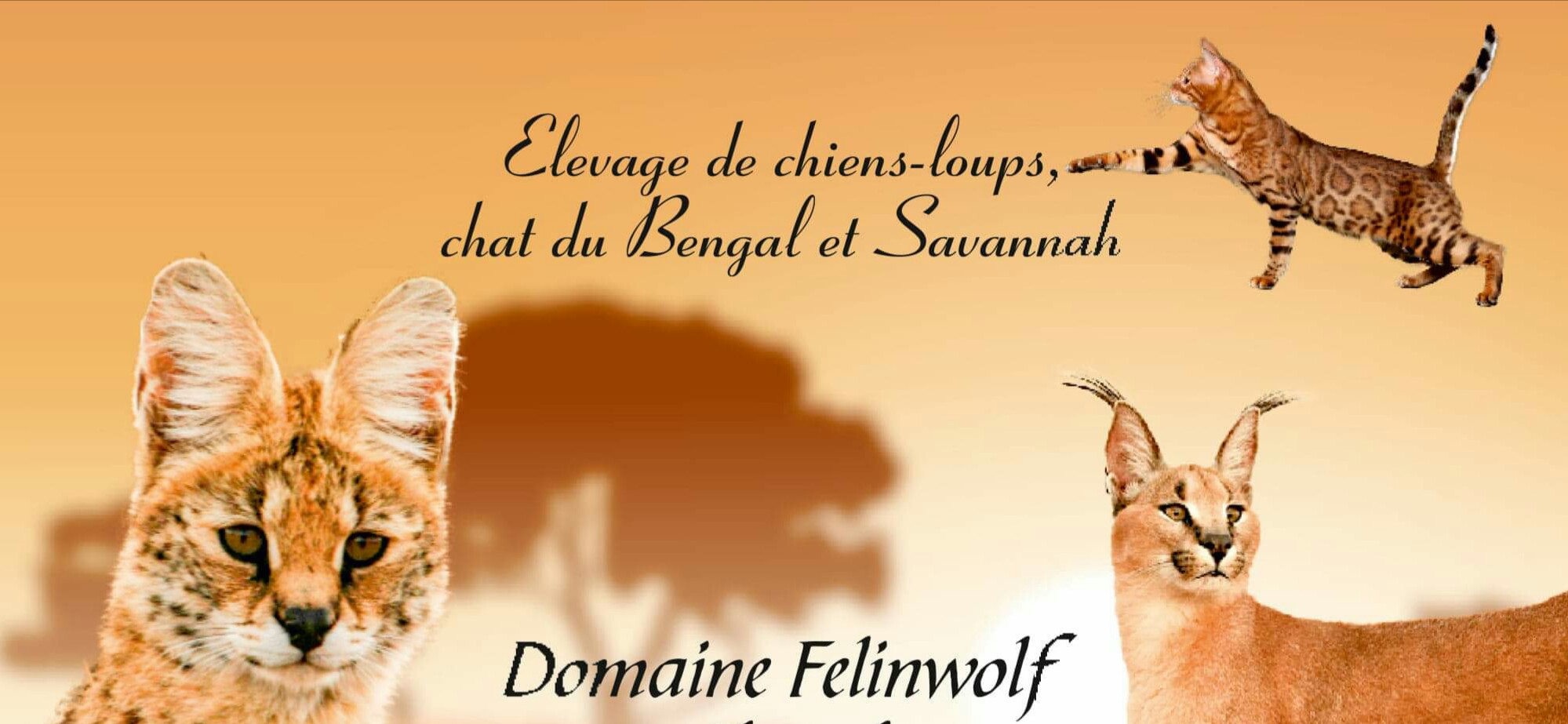 Logo élevage