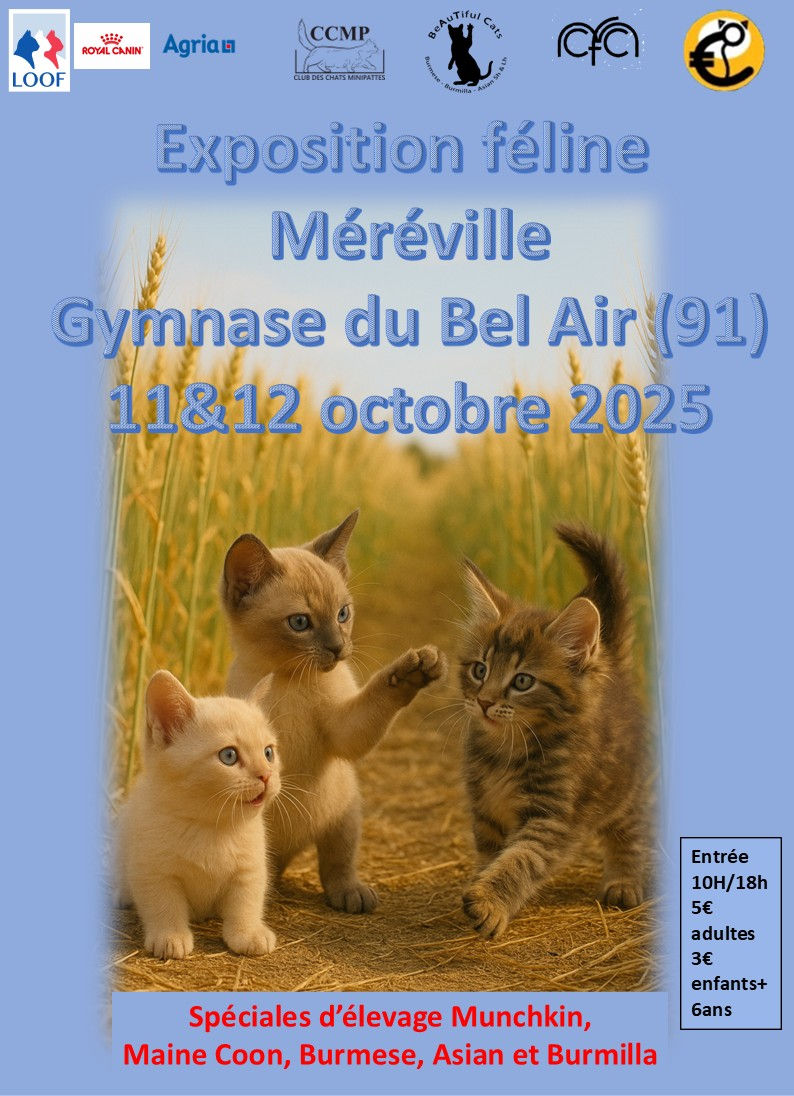 Exposition Féline de Méréville,