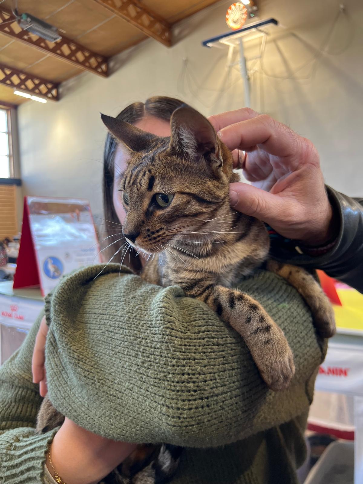 Retour de Méréville