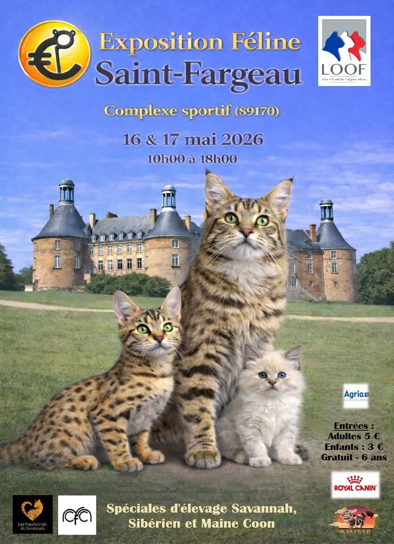 Affiche exposition saint-fargeau avec savannah
